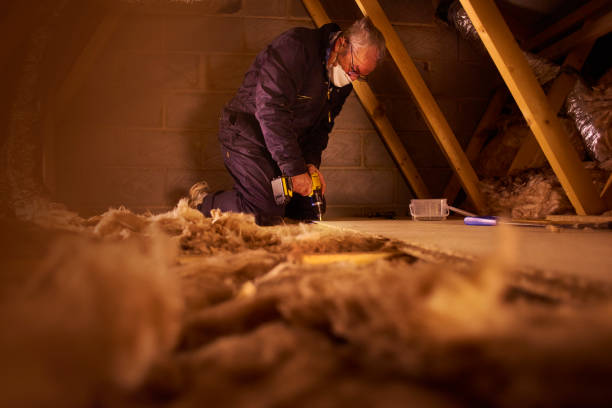 Best Residential Insulation in Wayne, MI